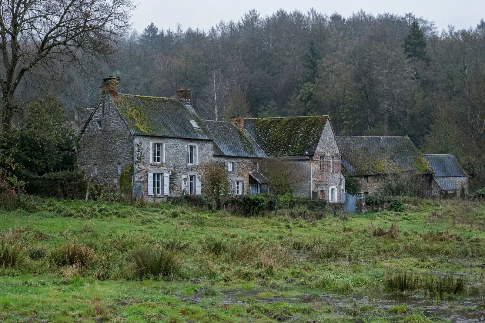 Maisons de pierre bleue et de brique aux toits d’ardoise moussus en lisière de forêt, prairie humide au premier plan